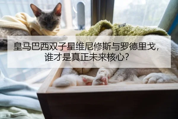 皇马巴西双子星维尼修斯与罗德里戈，谁才是真正未来核心？